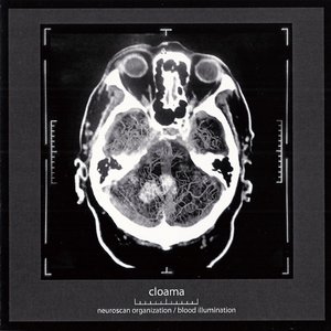 Neuroscan Organization / Blood Illumination