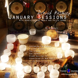 Image for 'January Sessions'