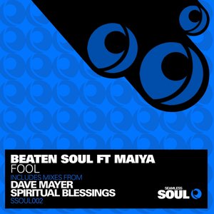Fool (feat. Maiya) [Seamless Soul]