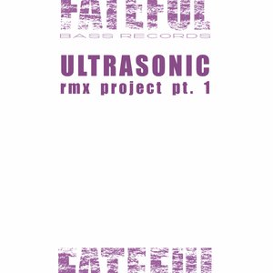 Rmx Project Pt.1