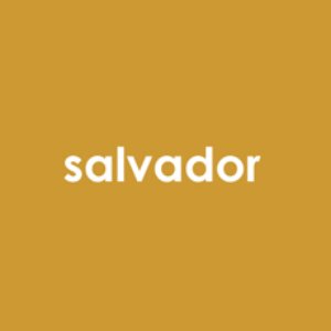 Salvador.at 的头像