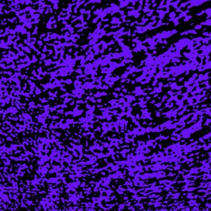 Avatar for Bruno Tenório