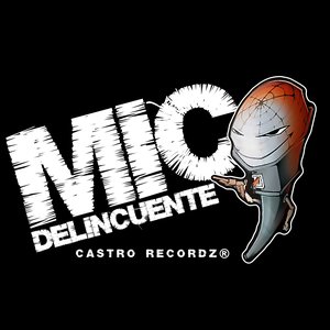 Avatar for Mic Delincuente