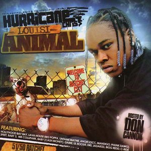 Louisi Animal