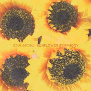 Sunflower Symphony