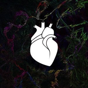 Afraid To Love You