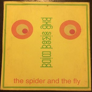 The Spider and the Fly