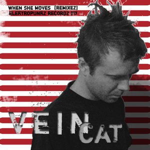 Image for 'When She Moves [Remixez]'