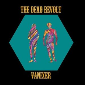 Vanixer