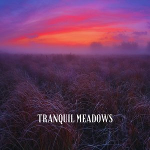 Tranquil Meadows