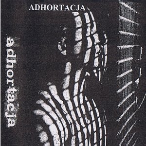Adhortacja 的头像