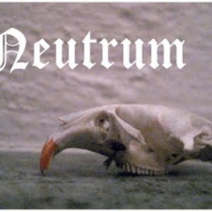 Neutrum 的头像