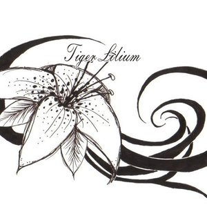 Tiger Lilium 的头像