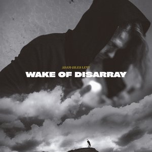 Wake Of Disarray