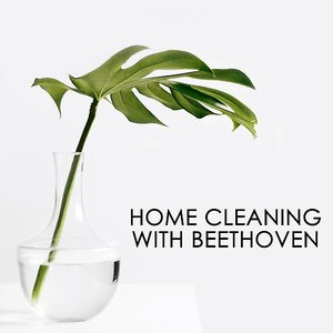 Home cleaning with Beethoven