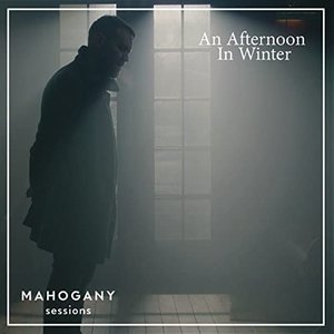 An Afternoon in Winter
