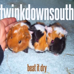 beat it dry (feat. foxglloves, okiedokielokiiesmokie & JakeyJayz) - Single