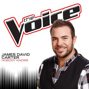 Nobody Knows (The Voice Performance) - Single