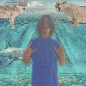 DEAD ANIMAL 2