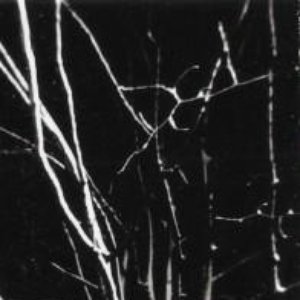 Granitkorridor 的头像