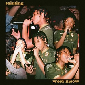 Woof Meow - Single