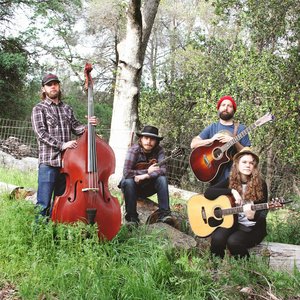 Avatar for the Little Fuller Band