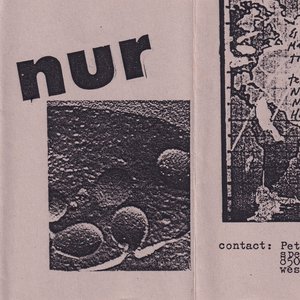 Nur