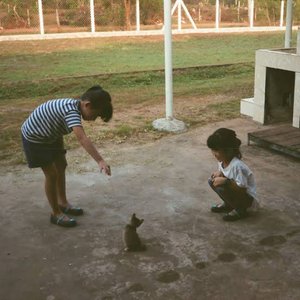 Until the Beauty Lasts Forever - Single