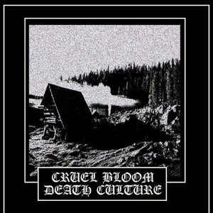 Death Culture