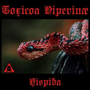Hispida