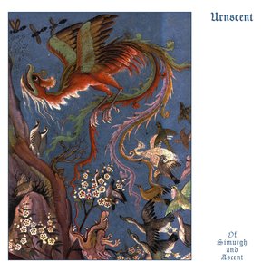 Of Simurgh and Ascent