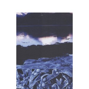 Perennial