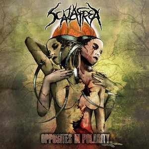 Opposites In Polarity