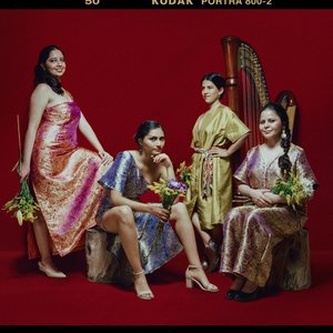Musas Ensamble de Arpas 的头像