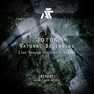 Natural Beginning (Inc Arnaud Le Texier Remix)