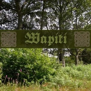 Wapiti 的头像
