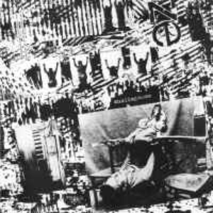 Flajelata cover