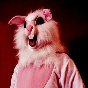 RedRabbit 的头像