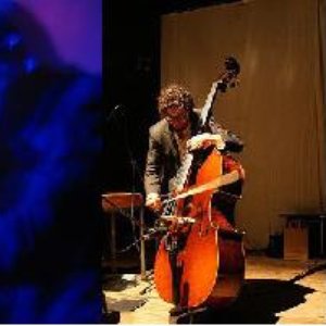 Rhodri Davies/Joe Williamson/Stefano Tedesco 的头像
