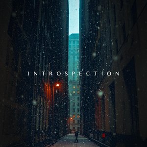 Introspection