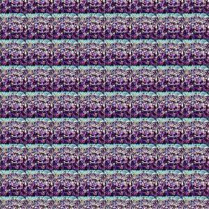 Renderer