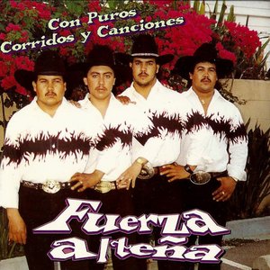 Puros Corridos y Canciones