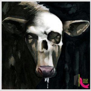 Crazy Cow