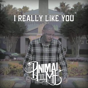 I Really Like You - Single