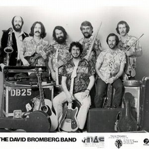 Image for 'David Bromberg Band'