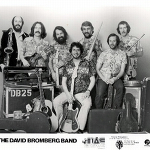 David Bromberg Band photo provided by Last.fm
