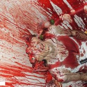 Grotesque Bowel Eruption 的头像