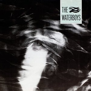 Image for 'The Waterboys'
