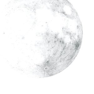 moonscape
