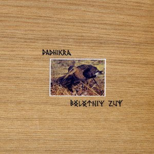 Bolotniy Zuy